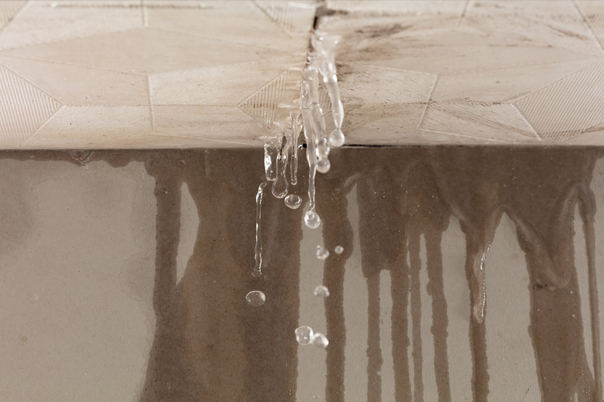 Water Damage Repair