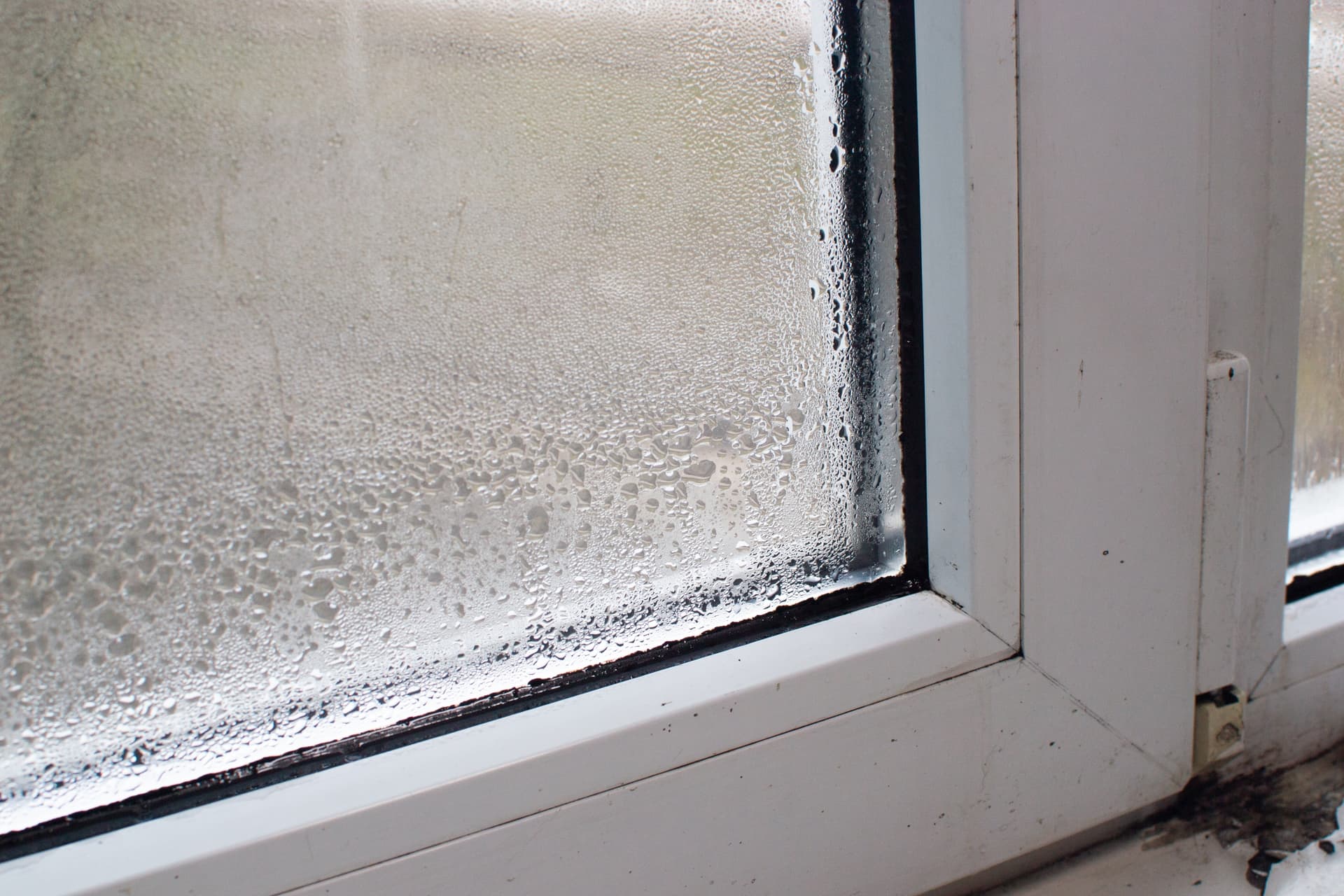How Long Does Water Damage Repair Take? What Your Property Changes