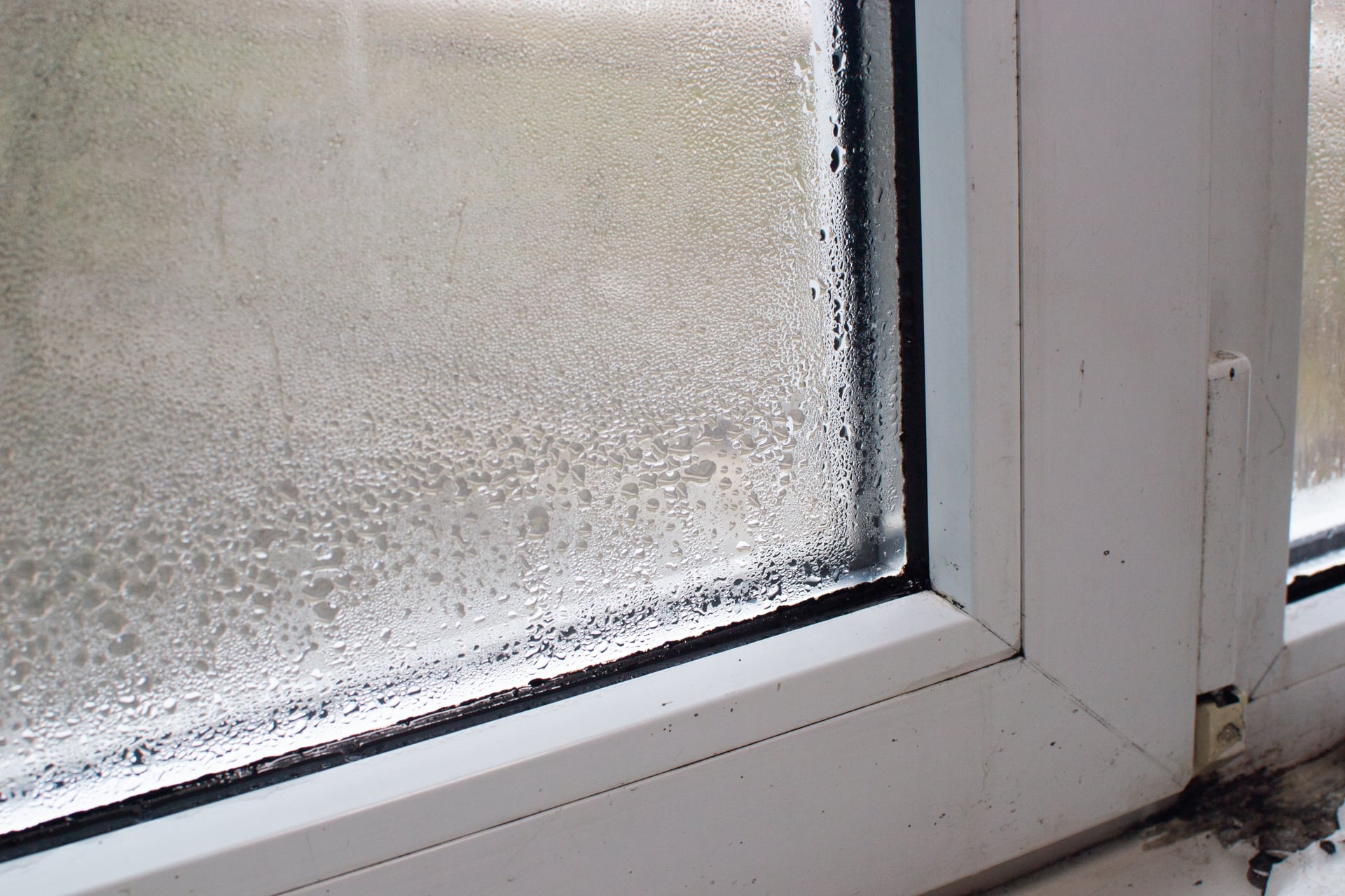 How Long Does Water Damage Repair Take? What Your Property Changes